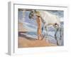 Bathing of a Horse-Joaquín Sorolla y Bastida-Framed Giclee Print