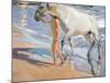 Bathing of a Horse-Joaquín Sorolla y Bastida-Mounted Giclee Print