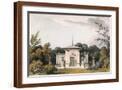 Brown Frame