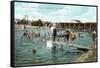 Bathing Pool, Coronado Tent City, San Diego, California-null-Framed Stretched Canvas