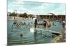 Bathing Pool, Coronado Tent City, San Diego, California-null-Mounted Art Print