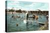 Bathing Pool, Coronado Tent City, San Diego, California-null-Stretched Canvas