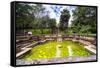 Bathing Pool (Kumara Pokuna) of Parakramabahu's Royal Palace-Matthew Williams-Ellis-Framed Stretched Canvas