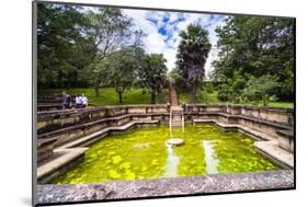 Bathing Pool (Kumara Pokuna) of Parakramabahu's Royal Palace-Matthew Williams-Ellis-Mounted Photographic Print