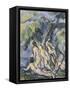 Bathing Study for Les Grandes Baigneuses, circa 1902-1906-Paul Cézanne-Framed Stretched Canvas