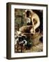 Bathing-Vicenzo Irolli-Framed Giclee Print