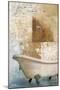 Bathroom and Ornaments I-Patricia Pinto-Mounted Art Print