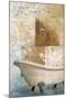 Bathroom and Ornaments I-Patricia Pinto-Mounted Art Print