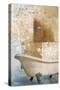 Bathroom and Ornaments I-Patricia Pinto-Stretched Canvas