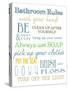 Bathroom Rules (Multi)-Taylor Greene-Stretched Canvas