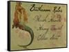 Bathroom Rules Vintage Mermaid-sylvia pimental-Framed Stretched Canvas