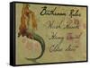 Bathroom Rules Vintage Mermaid-sylvia pimental-Framed Stretched Canvas