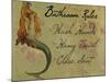 Bathroom Rules Vintage Mermaid-sylvia pimental-Mounted Art Print
