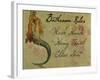 Bathroom Rules Vintage Mermaid-sylvia pimental-Framed Art Print