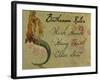 Bathroom Rules Vintage Mermaid-sylvia pimental-Framed Art Print