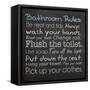 Bathroom Rules-Lauren Gibbons-Framed Stretched Canvas