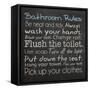 Bathroom Rules-Lauren Gibbons-Framed Stretched Canvas