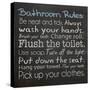 Bathroom Rules-Lauren Gibbons-Stretched Canvas