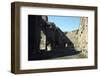 Baths of Caracalla, Rome, c20th century-CM Dixon-Framed Photographic Print