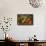 Bathsheba Bathing-Antonio Triva-Framed Stretched Canvas displayed on a wall