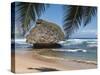Bathsheba Beach Barbados, Caribbean-Michael DeFreitas-Stretched Canvas