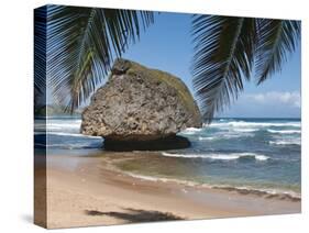 Bathsheba Beach Barbados, Caribbean-Michael DeFreitas-Stretched Canvas