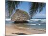 Bathsheba Beach Barbados, Caribbean-Michael DeFreitas-Mounted Photographic Print