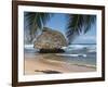 Bathsheba Beach Barbados, Caribbean-Michael DeFreitas-Framed Photographic Print