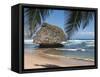 Bathsheba Beach Barbados, Caribbean-Michael DeFreitas-Framed Stretched Canvas