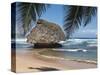 Bathsheba Beach Barbados, Caribbean-Michael DeFreitas-Stretched Canvas