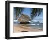 Bathsheba Beach Barbados, Caribbean-Michael DeFreitas-Framed Photographic Print