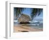 Bathsheba Beach Barbados, Caribbean-Michael DeFreitas-Framed Photographic Print