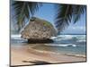 Bathsheba Beach Barbados, Caribbean-Michael DeFreitas-Mounted Photographic Print