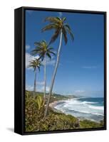 Bathsheba Beach, Barbados, Windward Islands, West Indies, Caribbean, Central America-Michael DeFreitas-Framed Stretched Canvas