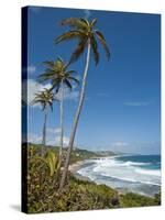 Bathsheba Beach, Barbados, Windward Islands, West Indies, Caribbean, Central America-Michael DeFreitas-Stretched Canvas
