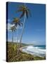 Bathsheba Beach, Barbados, Windward Islands, West Indies, Caribbean, Central America-Michael DeFreitas-Stretched Canvas