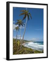 Bathsheba Beach, Barbados, Windward Islands, West Indies, Caribbean, Central America-Michael DeFreitas-Framed Photographic Print