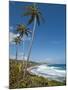 Bathsheba Beach, Barbados, Windward Islands, West Indies, Caribbean, Central America-Michael DeFreitas-Mounted Photographic Print