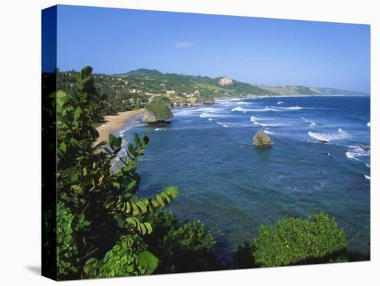 Bathsheba Coastline, Barbados East Coast-Jeremy Lightfoot-Stretched Canvas