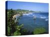 Bathsheba Coastline, Barbados East Coast-Jeremy Lightfoot-Stretched Canvas