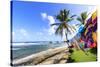 Bathsheba, colourful garments blow in the breeze, windswept palm trees, Barbados-Eleanor Scriven-Stretched Canvas