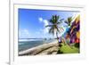 Bathsheba, colourful garments blow in the breeze, windswept palm trees, Barbados-Eleanor Scriven-Framed Photographic Print