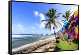 Bathsheba, colourful garments blow in the breeze, windswept palm trees, Barbados-Eleanor Scriven-Framed Stretched Canvas