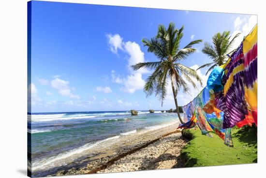 Bathsheba, colourful garments blow in the breeze, windswept palm trees, Barbados-Eleanor Scriven-Stretched Canvas