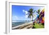 Bathsheba, colourful garments blow in the breeze, windswept palm trees, Barbados-Eleanor Scriven-Framed Photographic Print