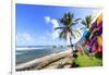 Bathsheba, colourful garments blow in the breeze, windswept palm trees, Barbados-Eleanor Scriven-Framed Photographic Print