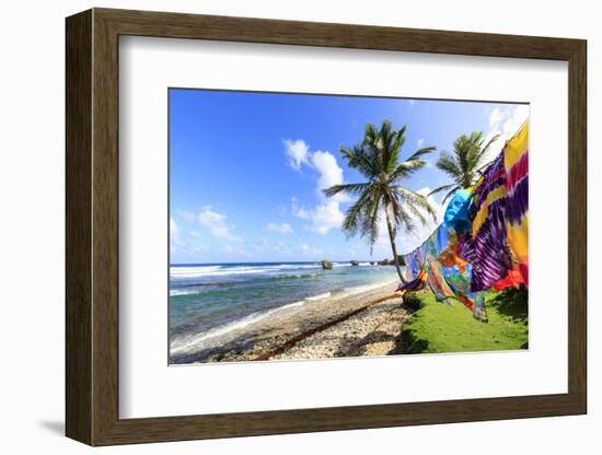 Bathsheba, colourful garments blow in the breeze, windswept palm trees, Barbados-Eleanor Scriven-Framed Photographic Print