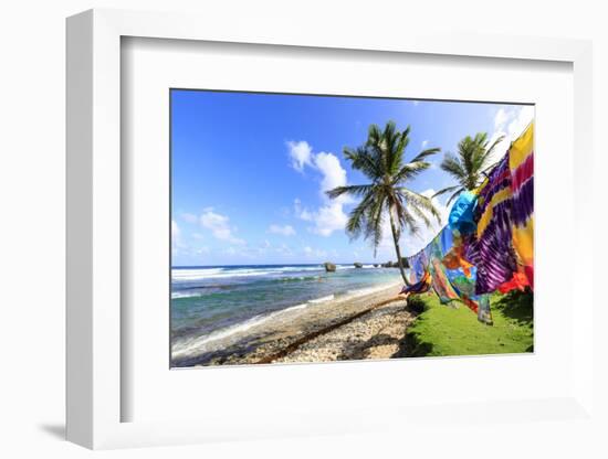 Bathsheba, colourful garments blow in the breeze, windswept palm trees, Barbados-Eleanor Scriven-Framed Photographic Print