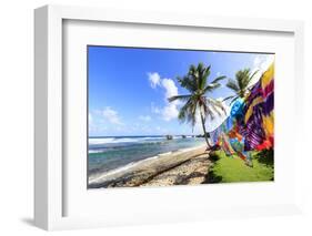 Bathsheba, colourful garments blow in the breeze, windswept palm trees, Barbados-Eleanor Scriven-Framed Photographic Print