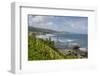 Bathsheba, St. Joseph, Barbados, West Indies, Caribbean, Central America-Frank Fell-Framed Photographic Print